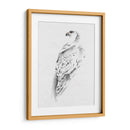 Gyrfalcon I - Melissa Wang | Cuadro decorativo de Canvas Lab