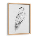 Gyrfalcon I - Melissa Wang | Cuadro decorativo de Canvas Lab