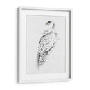 Gyrfalcon I - Melissa Wang | Cuadro decorativo de Canvas Lab