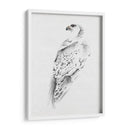 Gyrfalcon I - Melissa Wang | Cuadro decorativo de Canvas Lab