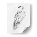 Gyrfalcon I - Melissa Wang | Cuadro decorativo de Canvas Lab