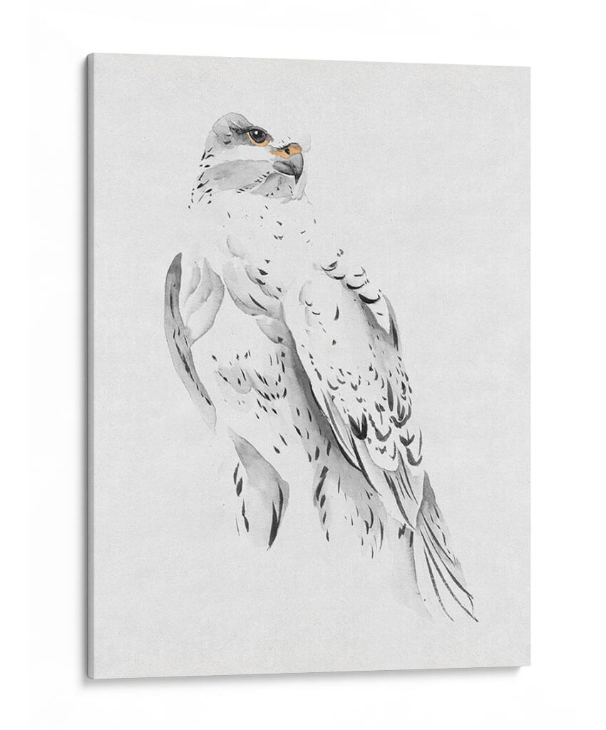 Gyrfalcon Ii - Melissa Wang | Cuadro decorativo de Canvas Lab