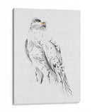Gyrfalcon Ii - Melissa Wang | Cuadro decorativo de Canvas Lab