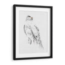 Gyrfalcon Ii - Melissa Wang | Cuadro decorativo de Canvas Lab