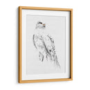 Gyrfalcon Ii - Melissa Wang | Cuadro decorativo de Canvas Lab