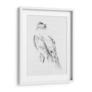 Gyrfalcon Ii - Melissa Wang | Cuadro decorativo de Canvas Lab