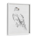 Gyrfalcon Ii - Melissa Wang | Cuadro decorativo de Canvas Lab