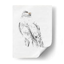 Gyrfalcon Ii - Melissa Wang | Cuadro decorativo de Canvas Lab