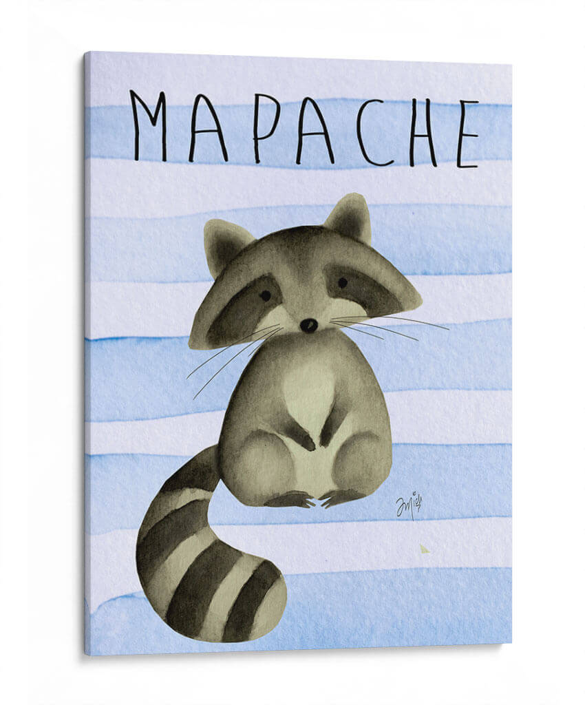 MAPACHE - Marce Islas | Cuadro decorativo de Canvas Lab