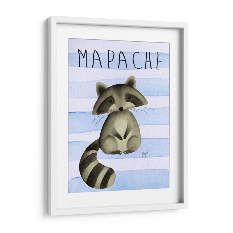 MAPACHE - Marce Islas | Cuadro decorativo de Canvas Lab