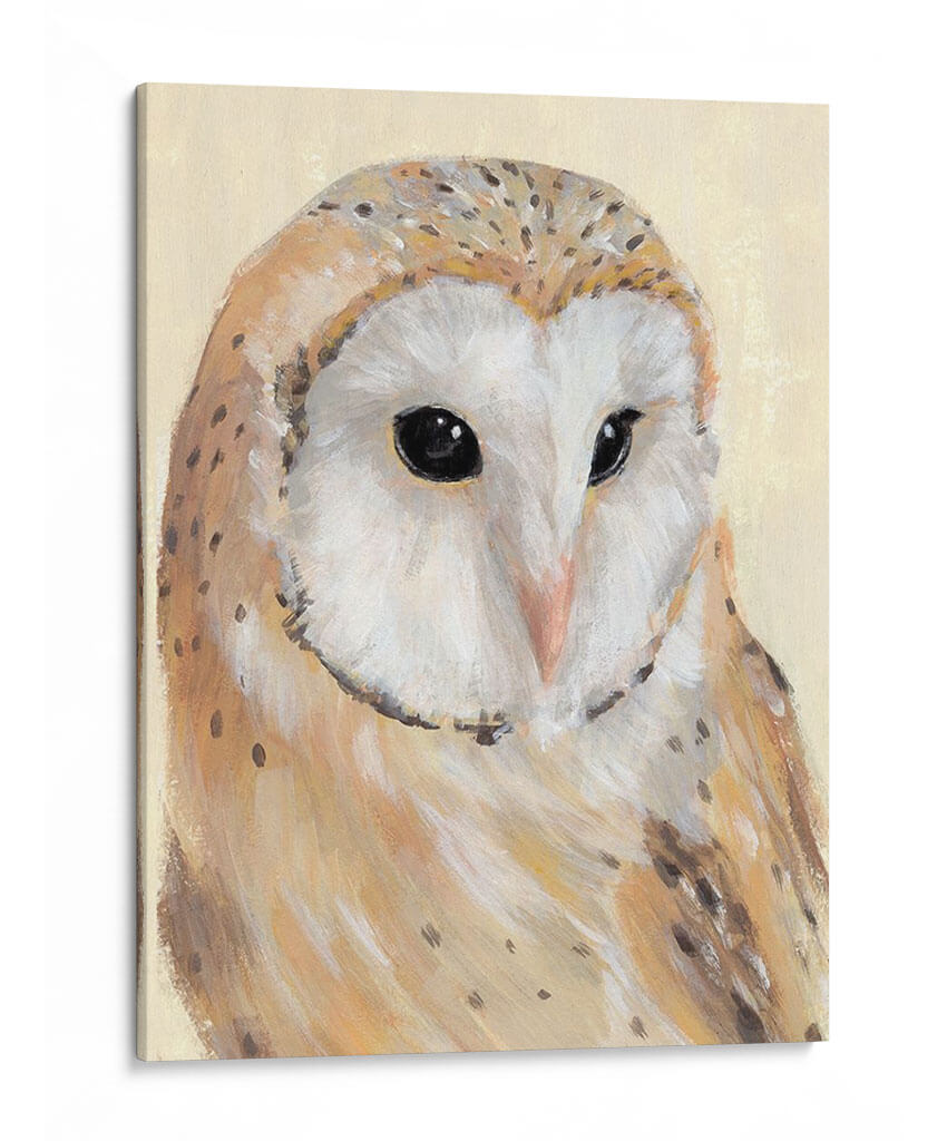 Barn Común Owl Ii - Jacob Green | Cuadro decorativo de Canvas Lab