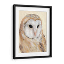 Barn Común Owl Ii - Jacob Green | Cuadro decorativo de Canvas Lab