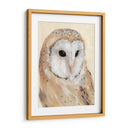 Barn Común Owl Ii - Jacob Green | Cuadro decorativo de Canvas Lab
