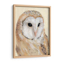 Barn Común Owl Ii - Jacob Green | Cuadro decorativo de Canvas Lab