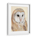Barn Común Owl Ii - Jacob Green | Cuadro decorativo de Canvas Lab