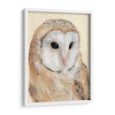 Barn Común Owl Ii - Jacob Green | Cuadro decorativo de Canvas Lab