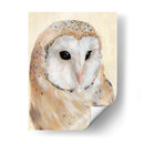 Barn Común Owl Ii - Jacob Green | Cuadro decorativo de Canvas Lab