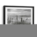 Vuelo De La Línea De Cerca Ii - Chris Vest | Cuadro decorativo de Canvas Lab