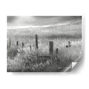 Vuelo De La Línea De Cerca Ii - Chris Vest | Cuadro decorativo de Canvas Lab