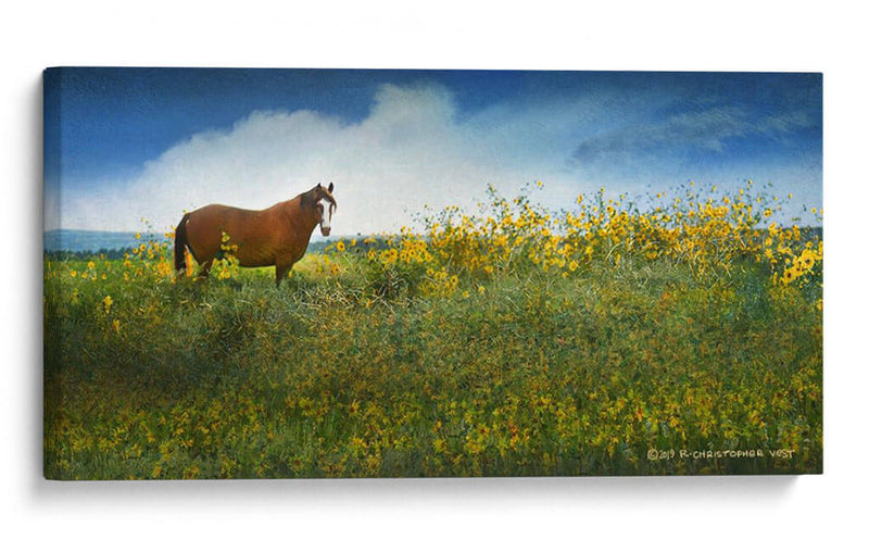 Caballo En Flores I - Chris Vest | Cuadro decorativo de Canvas Lab