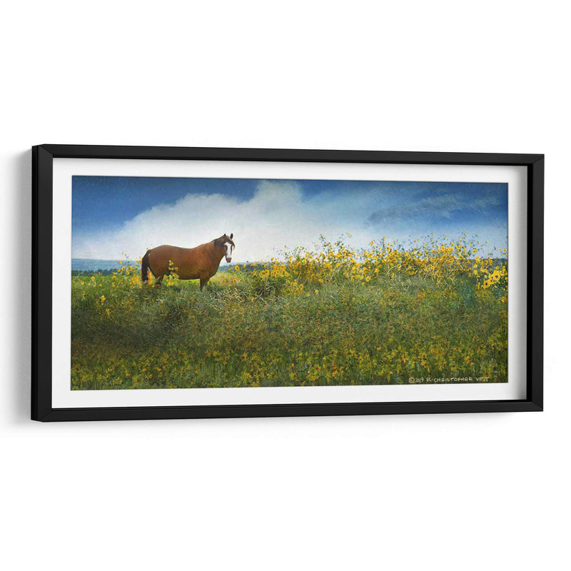 Caballo En Flores I - Chris Vest | Cuadro decorativo de Canvas Lab