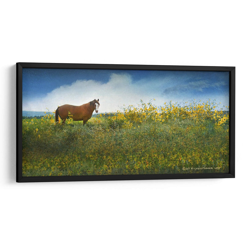 Caballo En Flores I - Chris Vest | Cuadro decorativo de Canvas Lab