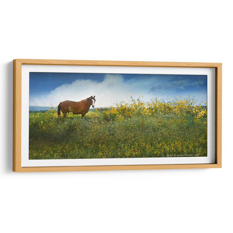 Caballo En Flores I - Chris Vest | Cuadro decorativo de Canvas Lab