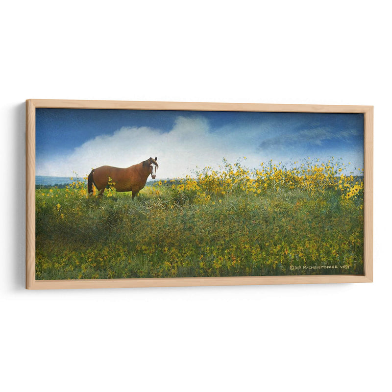 Caballo En Flores I - Chris Vest | Cuadro decorativo de Canvas Lab