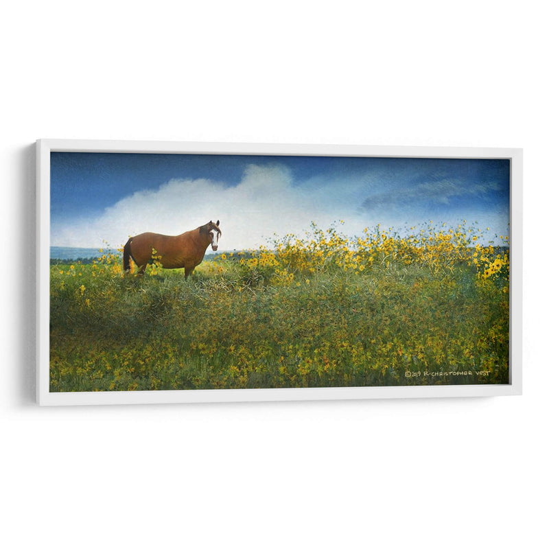 Caballo En Flores I - Chris Vest | Cuadro decorativo de Canvas Lab