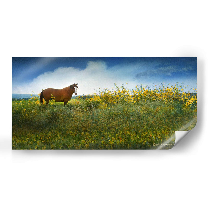 Caballo En Flores I - Chris Vest | Cuadro decorativo de Canvas Lab