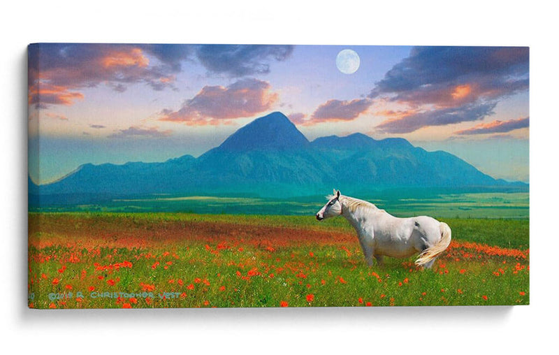 Caballo En Flores Ii - Chris Vest | Cuadro decorativo de Canvas Lab