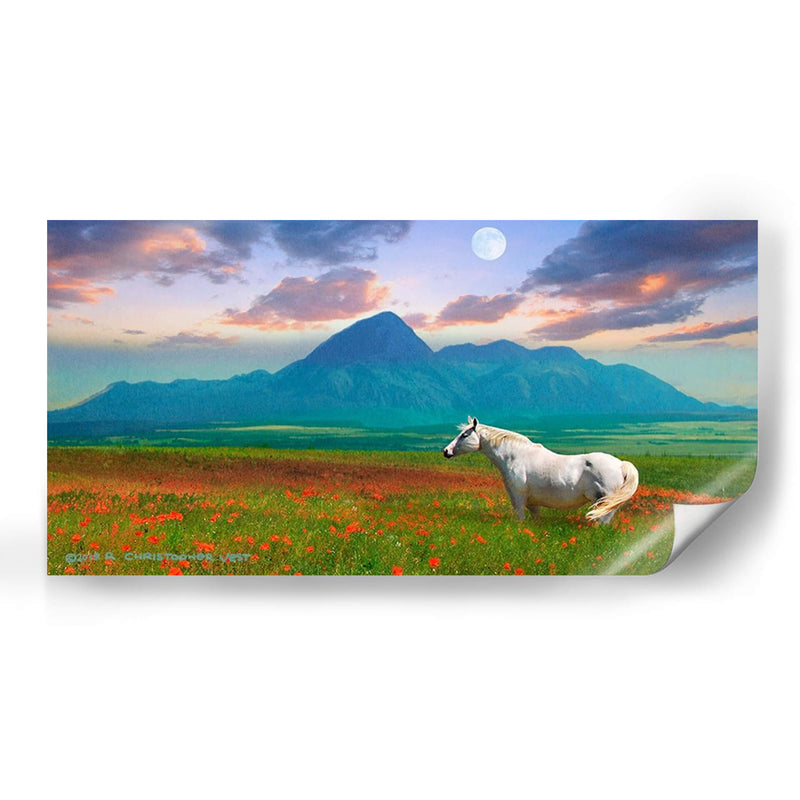 Caballo En Flores Ii - Chris Vest | Cuadro decorativo de Canvas Lab