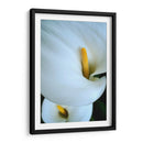 Alcatraces - Mauricio Silerio | Cuadro decorativo de Canvas Lab