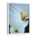 Alcatraces - Mauricio Silerio | Cuadro decorativo de Canvas Lab