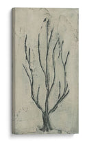 Sea Bevy Ii - Renee W. Stramel | Cuadro decorativo de Canvas Lab