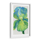 Iris Bloom En Verde I - Tim OToole | Cuadro decorativo de Canvas Lab