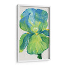 Iris Bloom En Verde I - Tim OToole | Cuadro decorativo de Canvas Lab