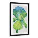 Iris Bloom En Green Ii - Tim OToole | Cuadro decorativo de Canvas Lab