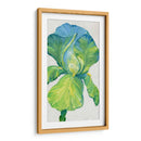 Iris Bloom En Green Ii - Tim OToole | Cuadro decorativo de Canvas Lab