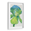 Iris Bloom En Green Ii - Tim OToole | Cuadro decorativo de Canvas Lab