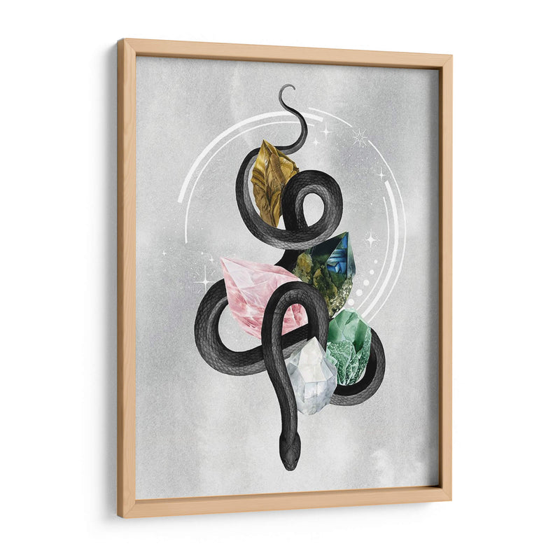 Serpiente Cristalina I - Grace Popp | Cuadro decorativo de Canvas Lab