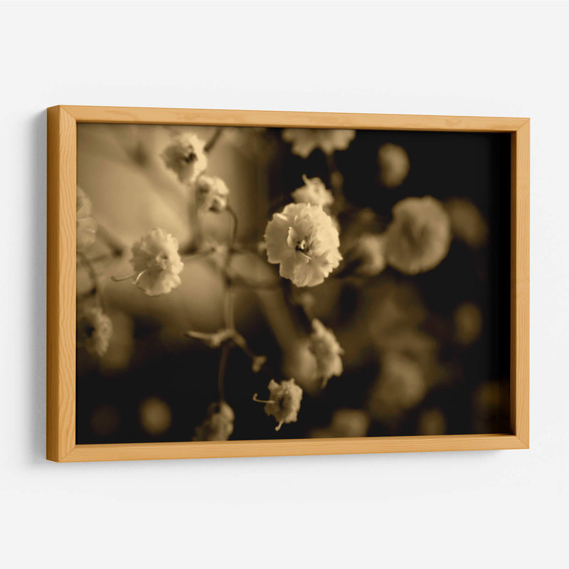 Pensamientos - Mauricio Silerio | Cuadro decorativo de Canvas Lab