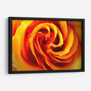 Sol - Mauricio Silerio | Cuadro decorativo de Canvas Lab