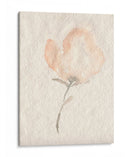 Fleur Petite Ii - Jennifer Goldberger | Cuadro decorativo de Canvas Lab