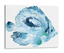 Pescado Del Océano Azul I - June Erica Vess | Cuadro decorativo de Canvas Lab