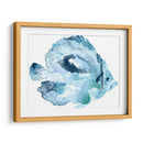 Pescado Del Océano Azul I - June Erica Vess | Cuadro decorativo de Canvas Lab