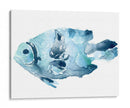 Pescado Azul Oceánico Ii - June Erica Vess | Cuadro decorativo de Canvas Lab