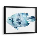 Pescado Azul Oceánico Ii - June Erica Vess | Cuadro decorativo de Canvas Lab