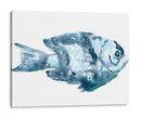 Azul Ocean Fish Iii - June Erica Vess | Cuadro decorativo de Canvas Lab