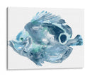 Azul Ocean Fish Iv - June Erica Vess | Cuadro decorativo de Canvas Lab